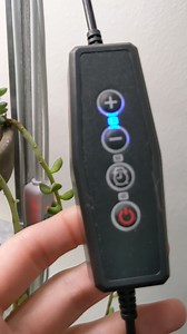 Watch Grow light set up on Amazon Live