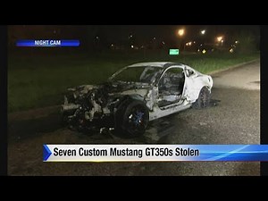Seven custom Mustang GT350s stolen