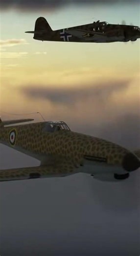 Italy Flew These in WWII