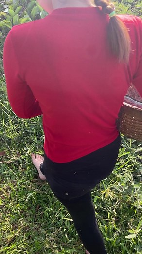 430K views · 4.9K reactions | Amazing Fish Trap Technique | Survival with Emma | Facebook