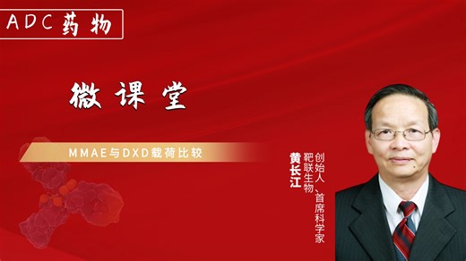 【微课堂-ADC药物】MMAE与DXD载荷比较