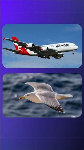 This Beetle Can Explode Like a Bomb! 💥 (Nature’s Real-Life Defense Weapon)