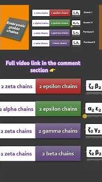 Embryonic Hemoglobins Explained in 60 Seconds | Biochemistry #shorts #hemoglobin #biochemistry