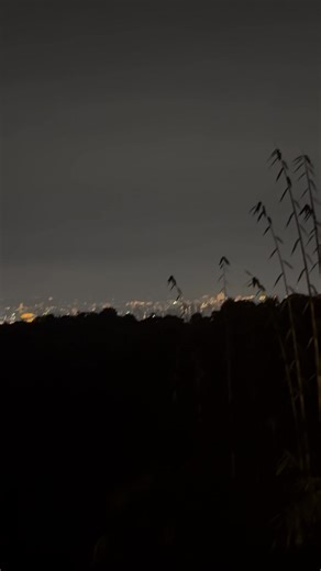 4 comments | David Lai on Reels | Facebook