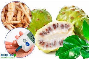 Noni propiedades de sus frutos hojas y raíces