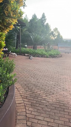 Understanding Disability and Resilience in Everyday Life