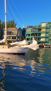 🌊 Ballard Waters Just Beyond the Locks 🚁 Right after passing through the Ballard Locks, the water opens into the calm beauty of Shilshole Bay — a gateway from freshwater to the Puget Sound. Captured with the DJI Avata FPV drone, this aerial view shows the seamless transition from urban waterways to open sea. Boats, marinas, and the shimmer of saltwater — this is classic Seattle coastal life. 🎥 Drone: DJI Avata 📍 Location: Shilshole Bay, Ballard, WA #ShilsholeBay #BallardLocks #SeattleDrone #
