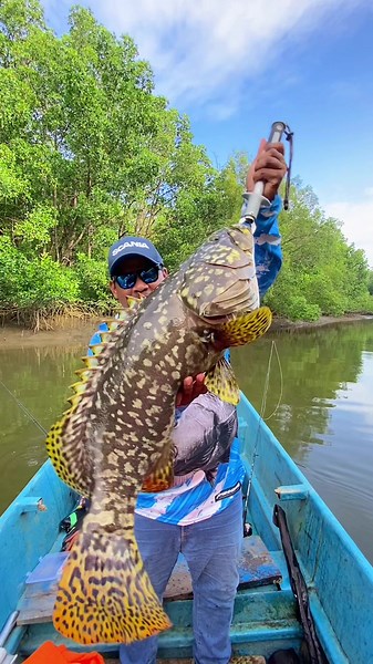 Bumblebee Grouper Fishing in Timika, Papua
