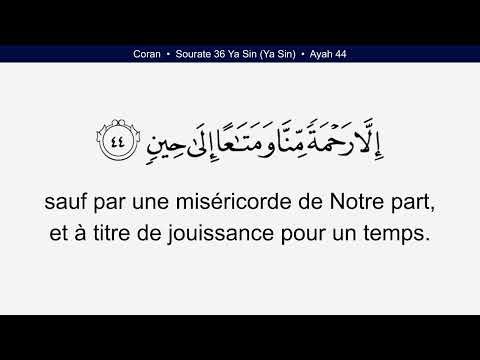 Coran 36 Sourate Yasin Ya Sin Français