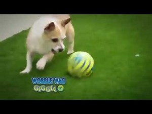Wobble Wag Giggle Ball Interactive Dog Toy