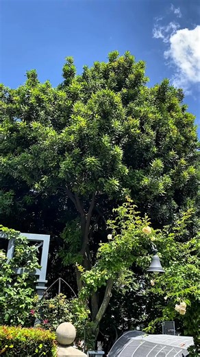 Unlock Youthful Skin with NIVEA Cellular Epigenetics Serum