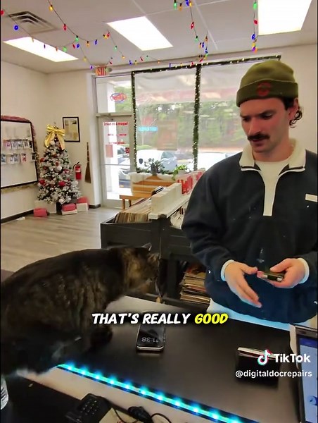 🚨Fixing Phone For Trade In!! Are you having a tech problem? We accept mail ins! We have a Mail-In Link that’s in our bio and we’ll bring your device back to life! 🩺💊 #phonerepair #phone #tech #phonecase #repair #