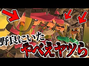 おまえらほんとに野良か？？？ #7【splatoon3】#サーモンラン