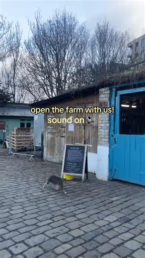Relaxing ASMR Experience at Hackney City Farm