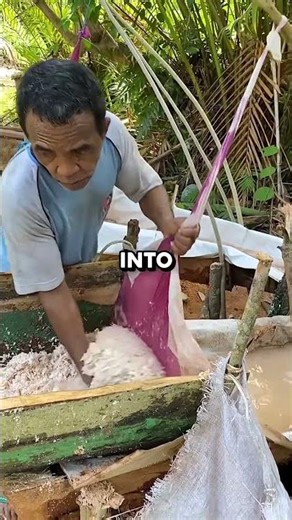 You have been eating this wood without knowing🤯