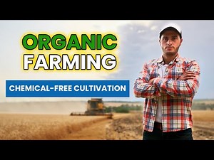 Organic Farming: Growing Without Chemicals