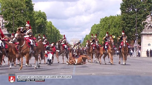 14-Juillet : la terrible chute d’un cheval lors du défilé de la Garde républicaine (vidéo)