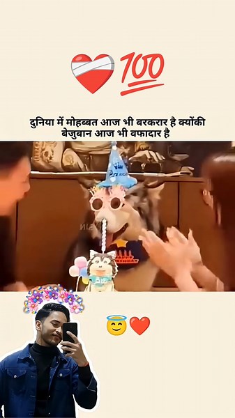 youtube shorts । instagram reels । whatsapp status