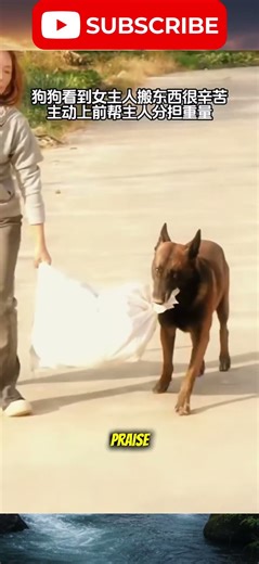 Smart Dog Helping Humans | Heartwarming Story