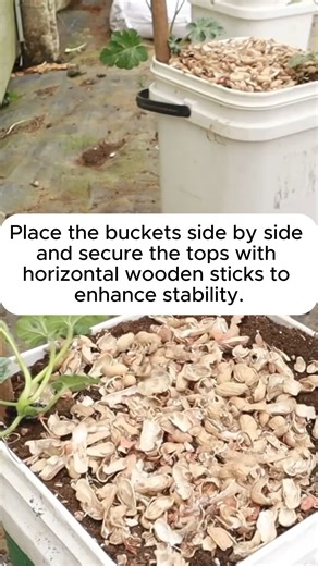 Growing watermelons in plastic bottles #urbangardening #gardeningistherapy #gardeninggoals #homegardening #gardeninspiration | Daily Garden Life