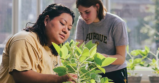 Plant Science major – Purdue University