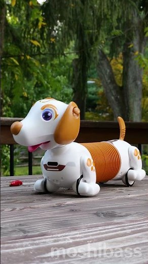 These RC Robots from YCOO are crazy!