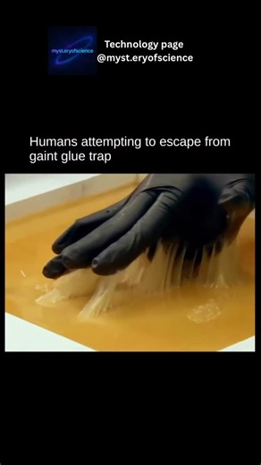 Tech on Instagram: "Humans attempting to escape from a giant glue trap sounds like something straight out of a surreal challenge, and that’s exactly what makes it so gripping to watch. There’s something strangely fascinating about seeing people push against a force that looks simple but feels impossible to beat. Every step sinks, every movement sticks, and suddenly even lifting a foot becomes a full-body battle. It turns into a test of patience, strength, and creativity as they try rolling, craw