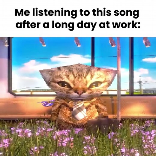 Exploring the Vibes of FLOWER DAY FUNK