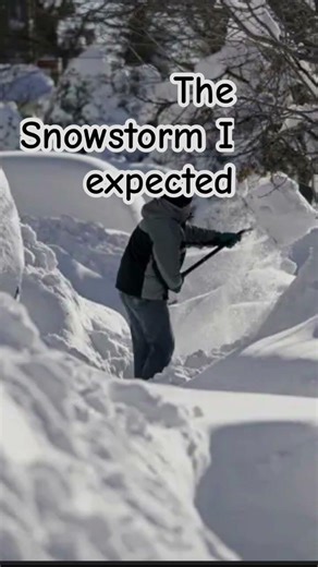 And why is there remote learning tomorrow 😩#funny #snowstorm #idk