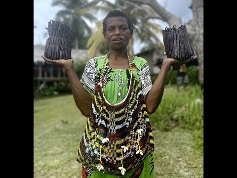 Vanilla Curing Process