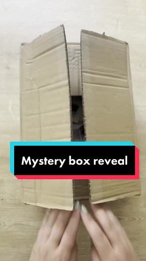 Exploring Forgotten Memories: Unboxing Old Negatives and Photos