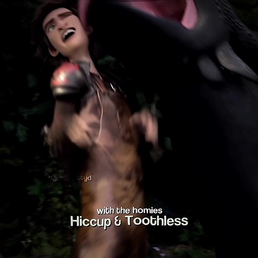 Meet Hiccup Horrendous Haddock III and Toothless in Action!