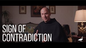 Sign of Contradiction // Update on Documentary Film
