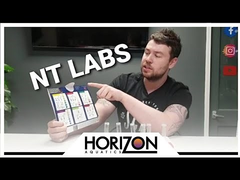 How to test aquarium water with an NT Labs test kit