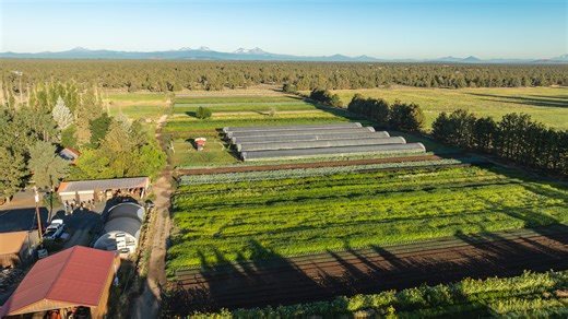 488 reactions · 54 shares | Bend’s story isn’t just told through breathtaking landscapes—it’s on the table, too. Fields rebuilt row by row. Farmers restoring soil. Chefs drawing inspiration from the high desert. Every bite connects you back to the land—and the people—who fuel the next adventure.  Dig into the full story → visitbend.com/journal/how-local-farms-nourish-bend/ | Visit Bend Oregon | Facebook