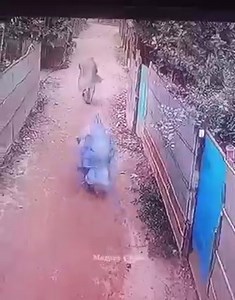 The biggest sin they have ever committed. | Steve Muriuki