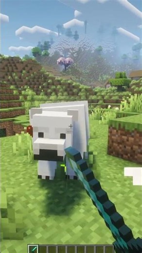 Polar Bear Physics in Minecraft