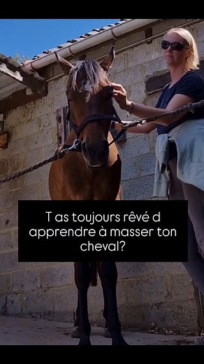 Le massage equin est désormais à portée de main (ouuuh le jeu de mot de qualité 🙈) J ai créé la formation que j aurais voulu trouver il y a 3 ans ✨️ Une formation accessible, à faire de chez soi, à son rythme, que tu peux revoir encore et encore quand tu as un doute ✨️ des gestes simples et ultra efficaces pour relâcher les tensions ✨️ des bonus pour aller plus loin (k taping, drainage, aromatherapie) ✨️ en option: une formule avec un accompagnement personnalisé pour t accompagner tout au long 