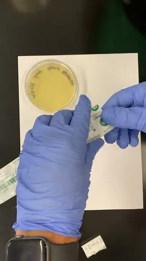 Lab 1: Open sterile swab