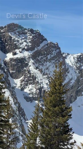 A Look around Albion Basin #alta #wasatch