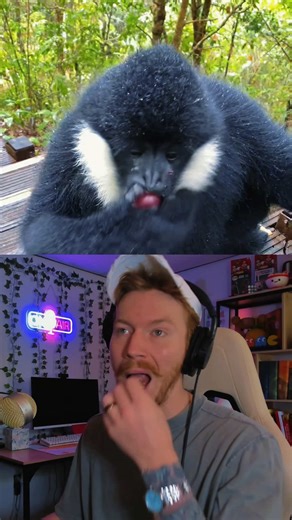 Behind The Scenes with Tristan Maloney and Jerry