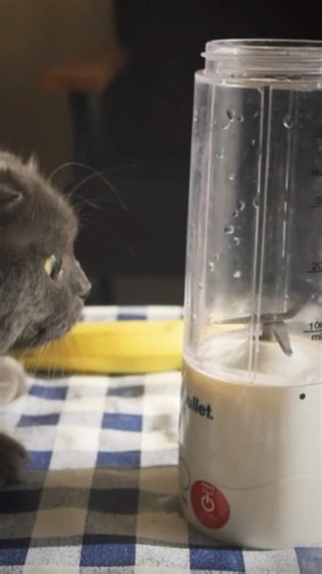 I Made A 3-Ingredient Berry Smoothie🍓😋