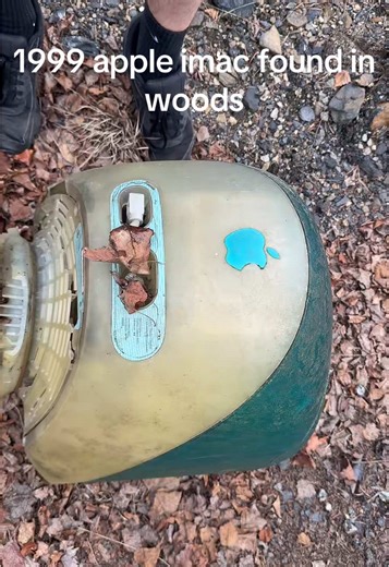 1999 Apple iMac Discovery in the Woods