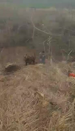 Videoclipuri postate de Ionuț Roșca (@ionutthread) cu