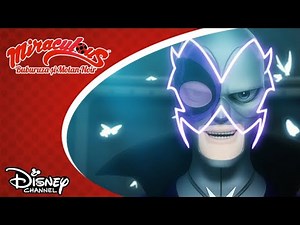 🐞 Mini clonele primarului | Miraculos: Buburuza și Motan Noir | Disney Channel România