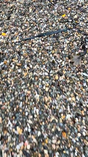 Gravel foot steps #asmr