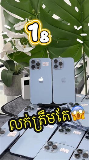 បញ្ចុះតម្លៃលុយកក់សាហាវ លក់ iPhone 13 Pro Max