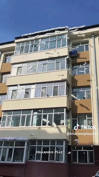 Snow fell from the roof #satisfyling #snow #asmr ##oddlysatisfying #fyp