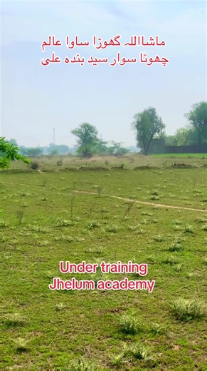 Horse trainer (@horse.trainer21)’s videos with original sound - Horse trainer