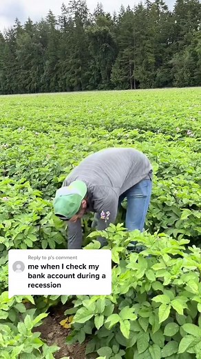 Exploring the Best Potato Varieties Without Potatoes